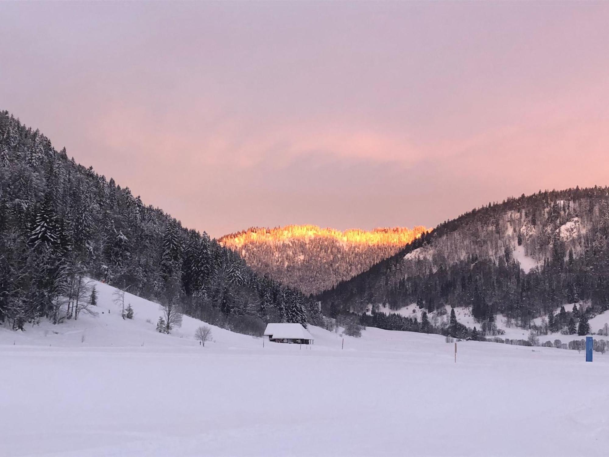 Forest Apartment-Mountain Escape Menzenschwand St. Blasien Kültér fotó