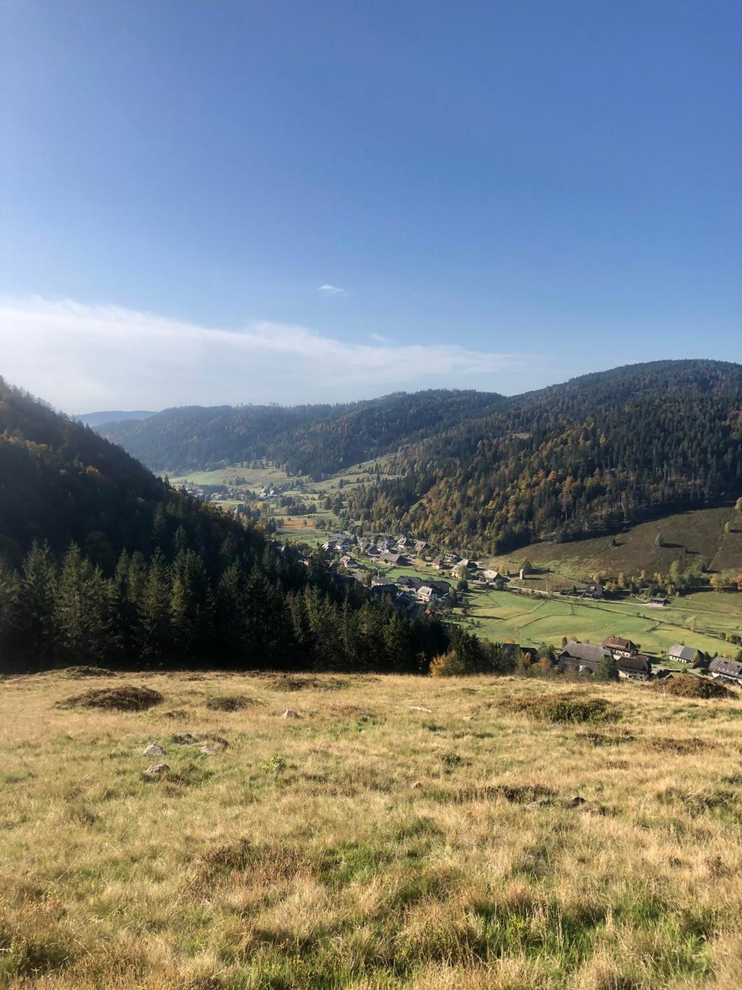 Forest Apartment-Mountain Escape Menzenschwand St. Blasien Kültér fotó